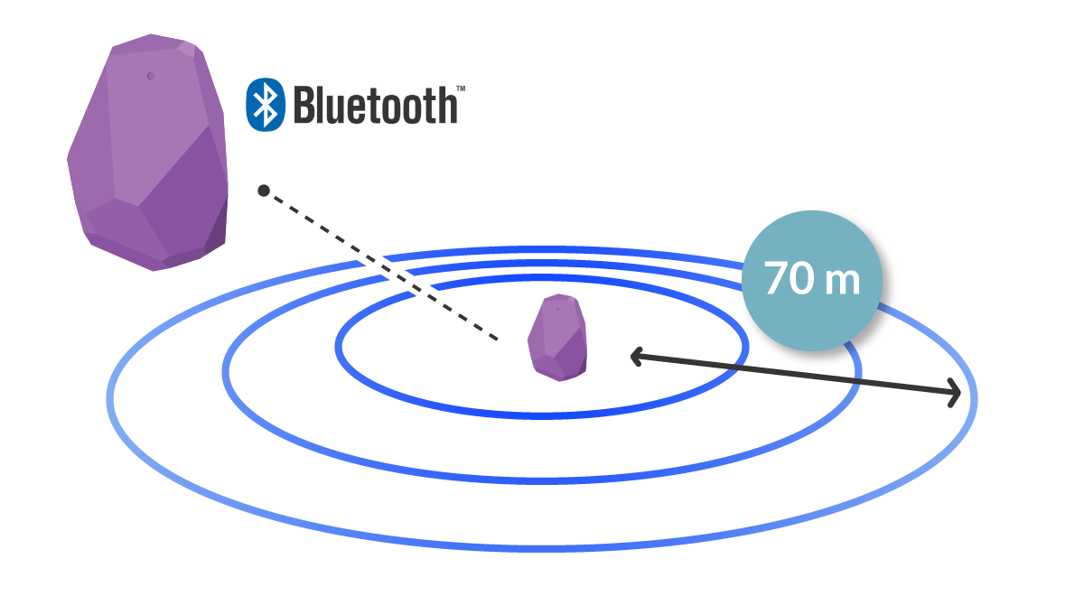 delaPlex - What does a beacon transmit?